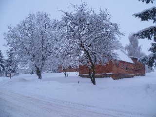 Haus